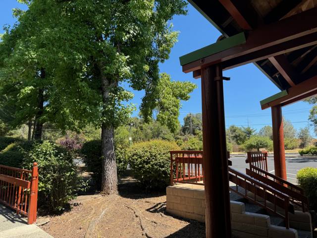 Timber walkway and stairs to upper-level suites under mature trees